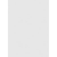Ekena Millwork 12 W 20 H vertikalni površinski nosač PVC Gable Oblub: Nefunkcionalan, W 2 W 1-1 2 H Brickmould Okvir