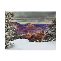 Zaštitni znak likovna umjetnost 'Snowy Grand Canyon I' Platno umjetnost Davida Drosta
