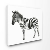 Zebra stojeća crno-bijela akvarelna slika životinja, zidna umjetnost na platnu,20, Jennifer Goldberger