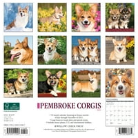 Willow Creek Press Just Pembroke Corgis zidni kalendar
