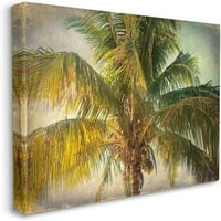 Stupell Industries u nevolji Tropska ljetna palma Frond Fotografija koju je dizajnirala Ashley Calhoun