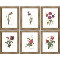 Slike cvjetni botanički uokvireni umjetnički tisak