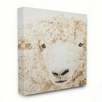 Stupell Kućni dekor portret ovce slika domaćih životinja platno zidna umjetnost Diane Phifer