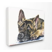 Stupell Industries Shepard štene pas ljubimac akvarel Slikarstvo platno zidna umjetnost Georgea Diachenka