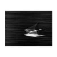 slika na platnu Ivano Cheli zamagljena mrlja od muhe