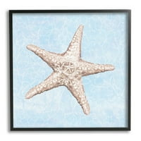 Detaljni uzorak morske zvijezde s plavom vodom, životinje i insekti, grafika u crnom okviru, zidni ispis