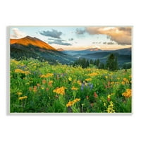 Stupell Insrijeti Otvorene polja divljih cvjetova Oblačni planinski krajolik izlaska sunca, 13, dizajn J. C. Leacock