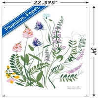 Botanička kolekcija - Zidni plakat s divljim cvjetovima s gurmima, 22.375 34
